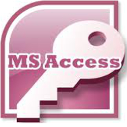 MS Access programmer Detroit MI